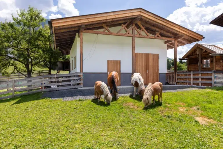 Albeinelerhof-Bauernhof-streichelstall-4